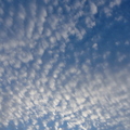 20100819 203307
